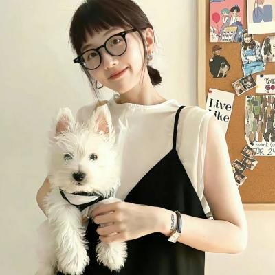 间谍过家家